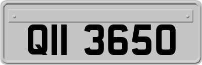 QII3650
