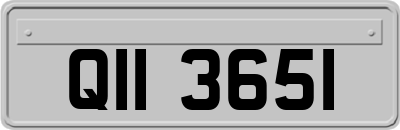 QII3651