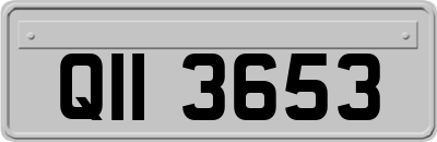 QII3653