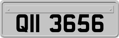 QII3656
