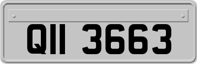 QII3663