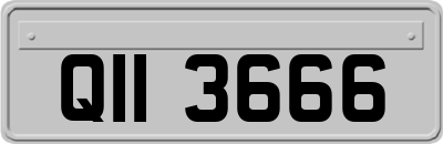 QII3666