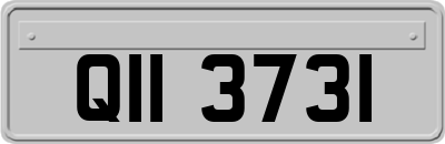 QII3731