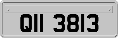 QII3813