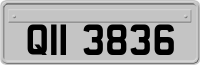 QII3836