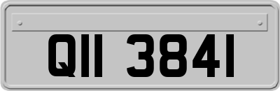 QII3841