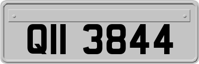 QII3844