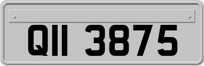 QII3875
