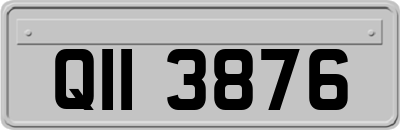 QII3876