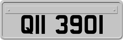 QII3901