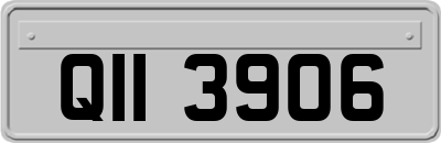 QII3906