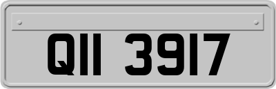QII3917