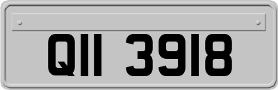 QII3918