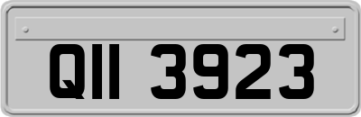 QII3923