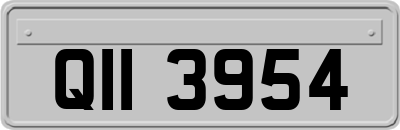 QII3954