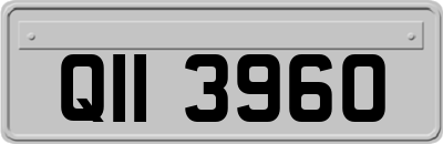 QII3960