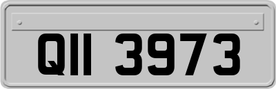 QII3973
