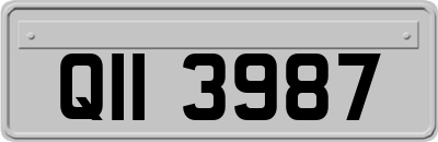 QII3987