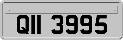 QII3995