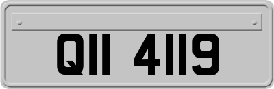 QII4119