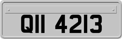 QII4213