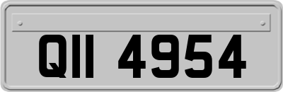 QII4954