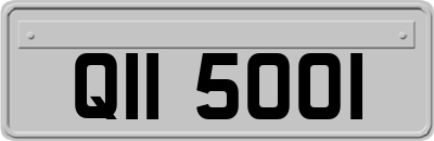 QII5001