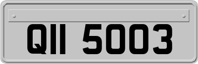 QII5003