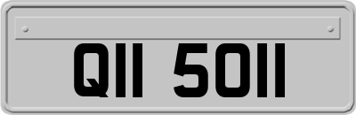 QII5011