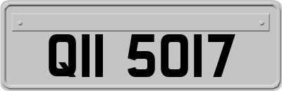QII5017
