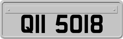 QII5018