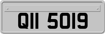 QII5019