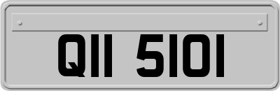 QII5101
