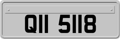 QII5118