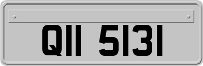 QII5131