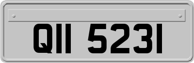 QII5231