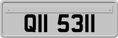 QII5311