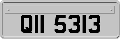 QII5313