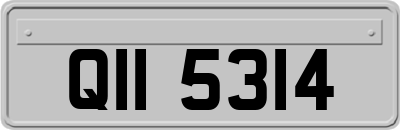 QII5314