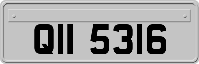 QII5316