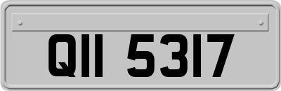 QII5317