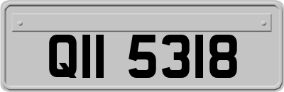 QII5318