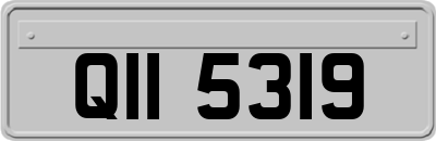 QII5319