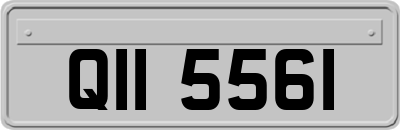 QII5561