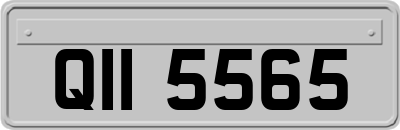QII5565