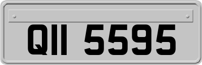 QII5595