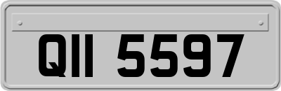 QII5597