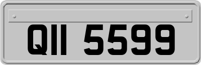 QII5599