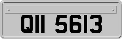 QII5613