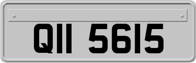 QII5615